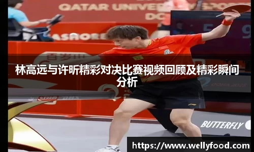 林高远与许昕精彩对决比赛视频回顾及精彩瞬间分析